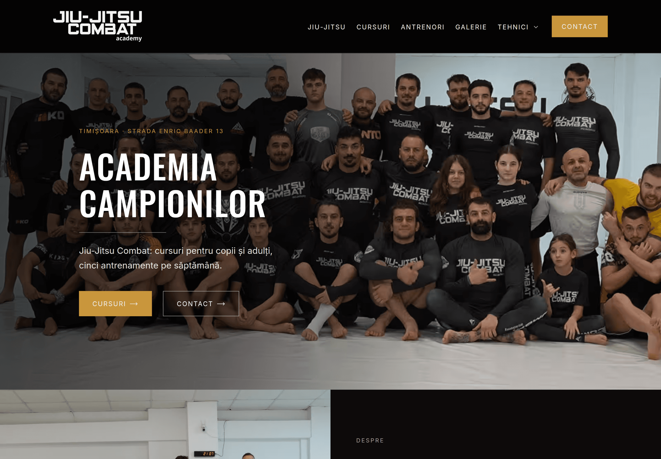 Site-ul Jiu-Jitsu Combat — club de arte marțiale din Timișoara